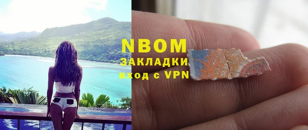 ПСИЛОЦИБИНОВЫЕ ГРИБЫ Алзамай
