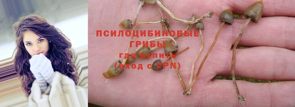 кокс Алексин