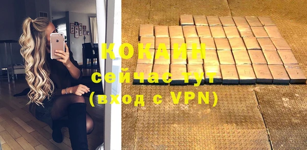 кокс Алексин