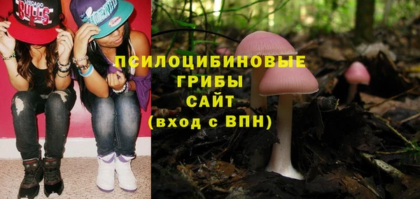 ПСИЛОЦИБИНОВЫЕ ГРИБЫ Алзамай